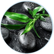 bamboo-extract