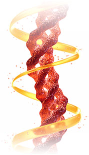 collagen