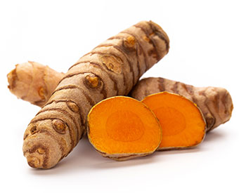curcuma-longa-root