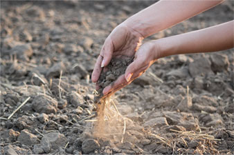 poor-soil