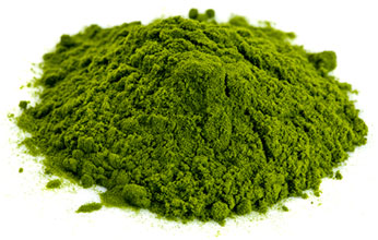wheat-grass