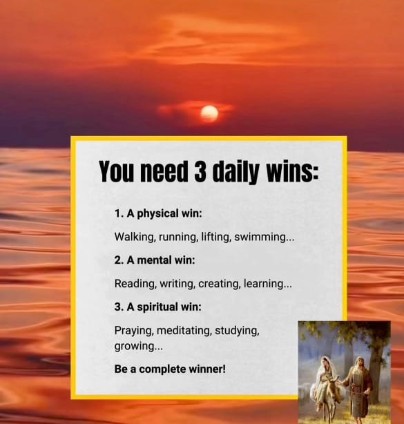 3-daily-wins